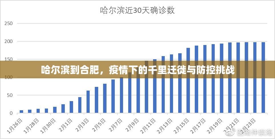 哈尔滨到合肥，疫情下的千里迁徙与防控挑战