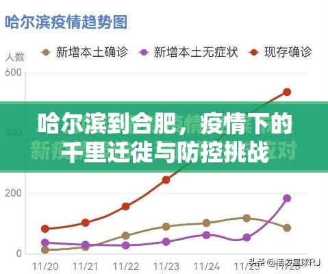 哈尔滨到合肥，疫情下的千里迁徙与防控挑战