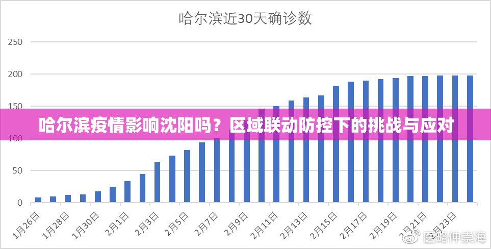 哈尔滨疫情影响沈阳吗？区域联动防控下的挑战与应对