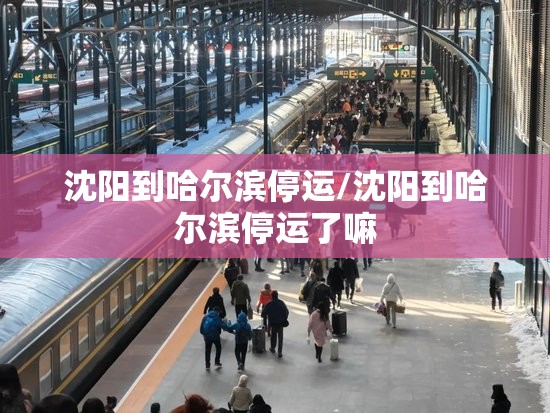 沈阳到哈尔滨停运/沈阳到哈尔滨停运了嘛