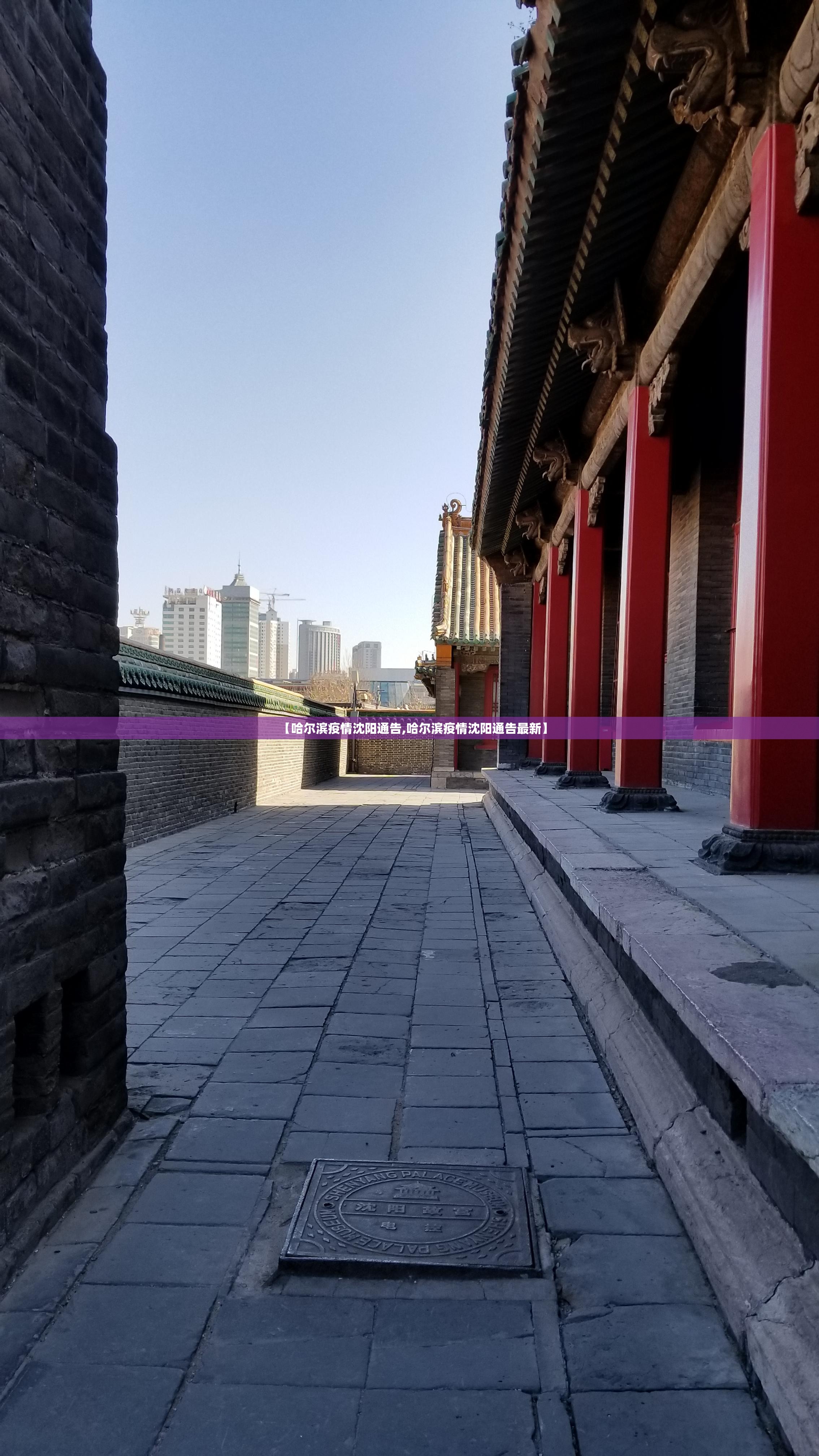 【哈尔滨疫情沈阳通告,哈尔滨疫情沈阳通告最新】