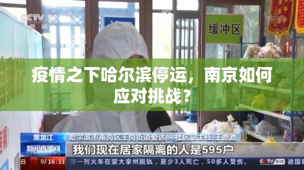 疫情之下哈尔滨停运，南京如何应对挑战？