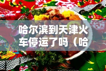 哈尔滨到天津火车停运了吗（哈尔滨到天津火车停运了吗今天）