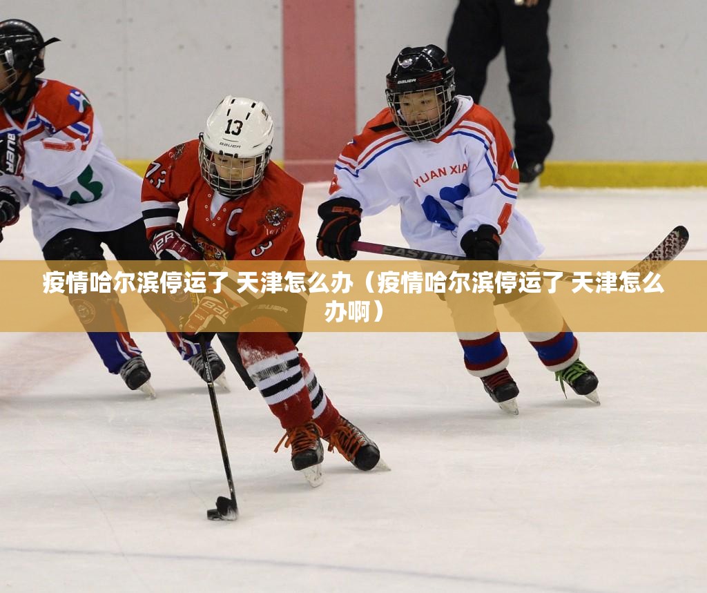 疫情哈尔滨停运了 天津怎么办（疫情哈尔滨停运了 天津怎么办啊）