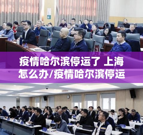 疫情哈尔滨停运了 上海怎么办/疫情哈尔滨停运了 上海怎么办呢