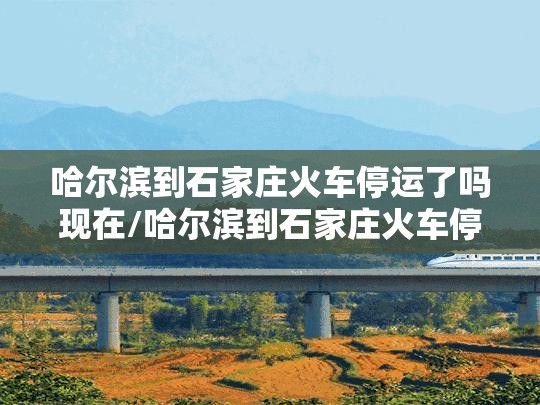 哈尔滨到石家庄火车停运了吗现在/哈尔滨到石家庄火车停运了吗