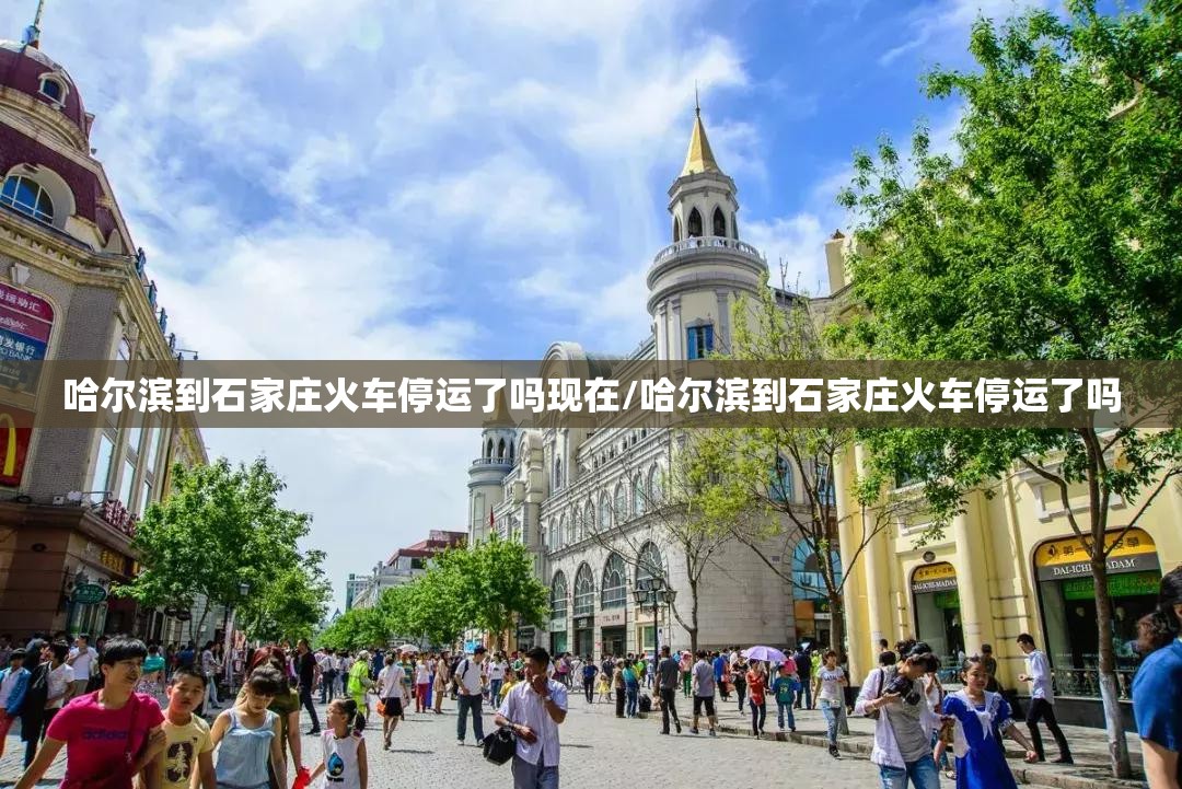 哈尔滨到石家庄火车停运了吗现在/哈尔滨到石家庄火车停运了吗