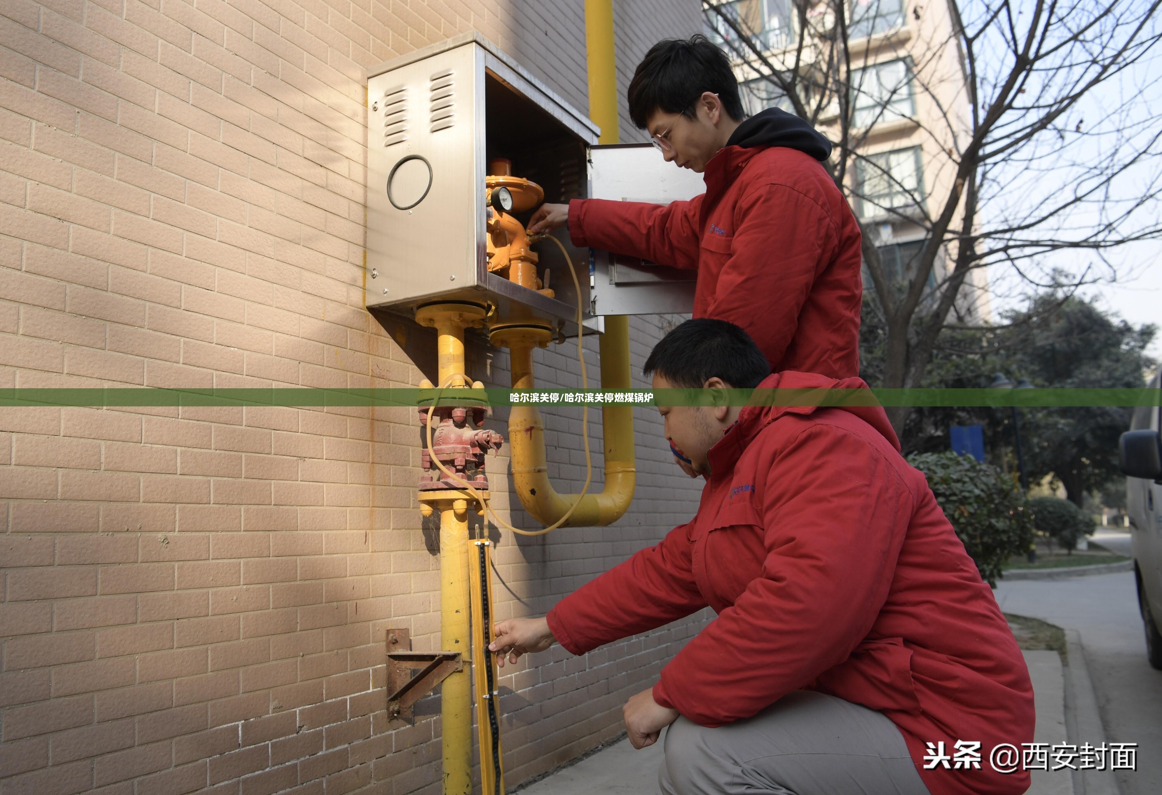 哈尔滨关停/哈尔滨关停燃煤锅炉