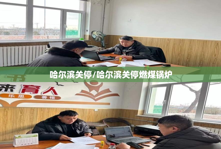 哈尔滨关停/哈尔滨关停燃煤锅炉