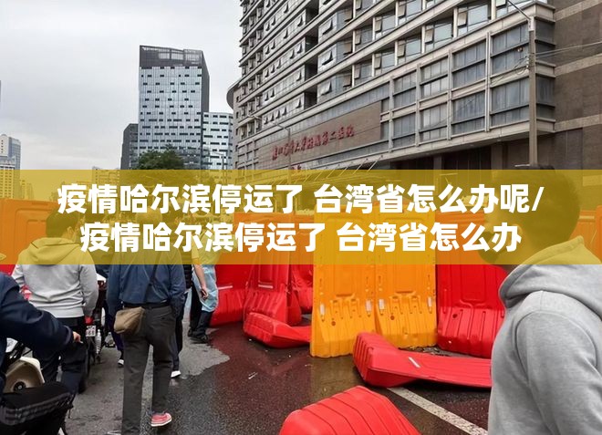 疫情哈尔滨停运了 台湾省怎么办呢/疫情哈尔滨停运了 台湾省怎么办