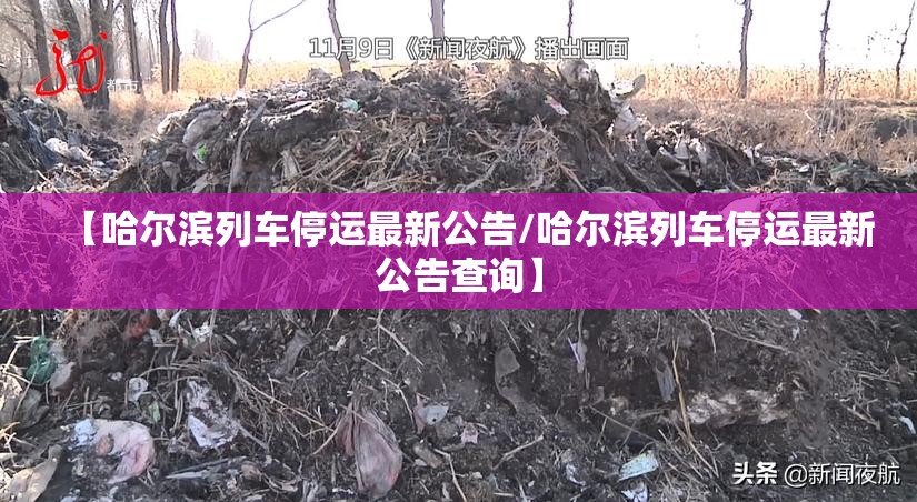 【哈尔滨列车停运最新公告/哈尔滨列车停运最新公告查询】