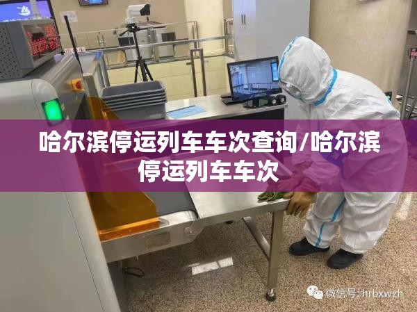 哈尔滨停运列车车次查询/哈尔滨停运列车车次