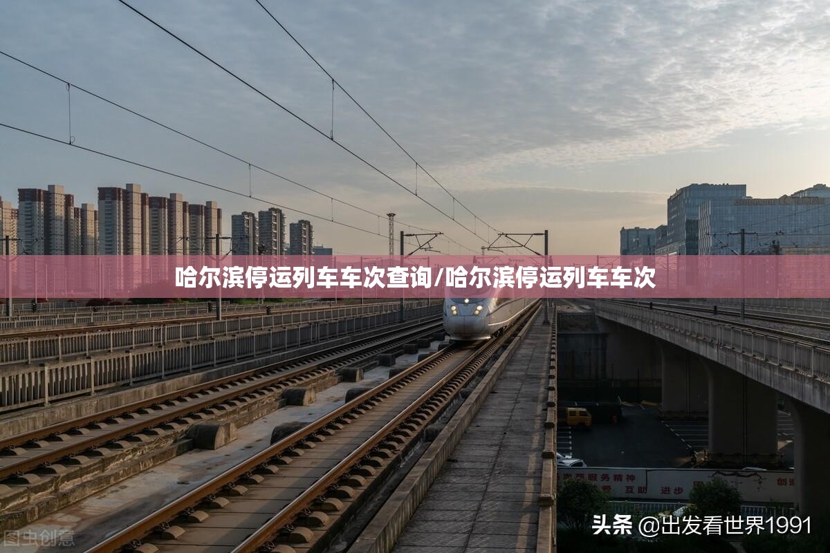 哈尔滨停运列车车次查询/哈尔滨停运列车车次
