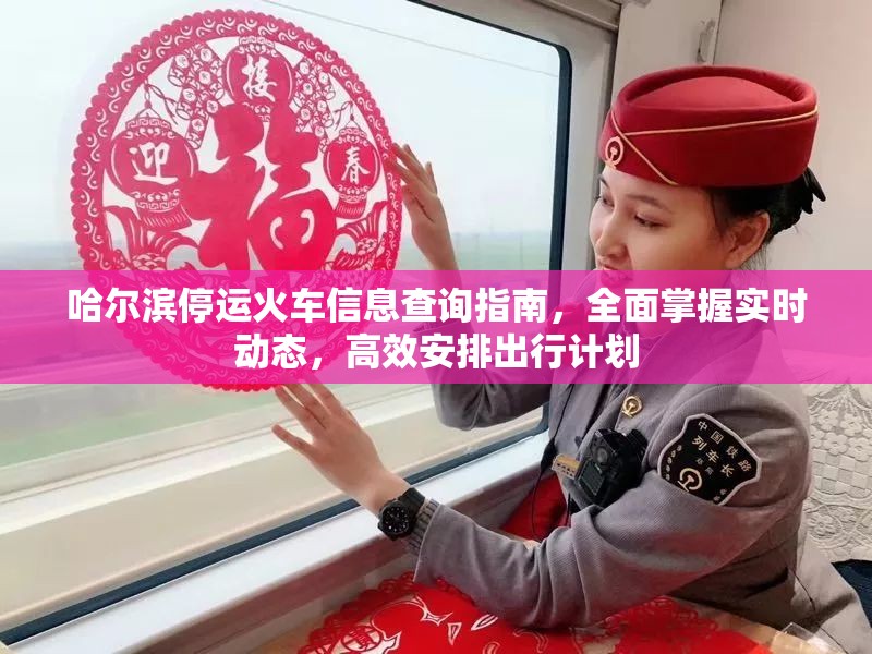 哈尔滨停运火车信息查询指南，全面掌握实时动态，高效安排出行计划