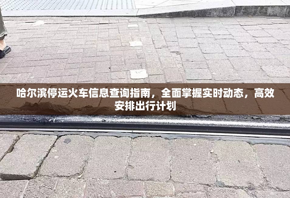 哈尔滨停运火车信息查询指南，全面掌握实时动态，高效安排出行计划