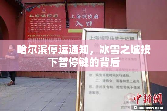 哈尔滨停运通知，冰雪之城按下暂停键的背后