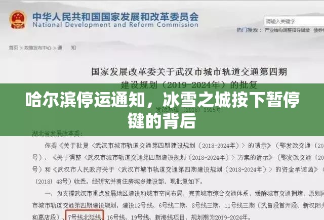 哈尔滨停运通知，冰雪之城按下暂停键的背后