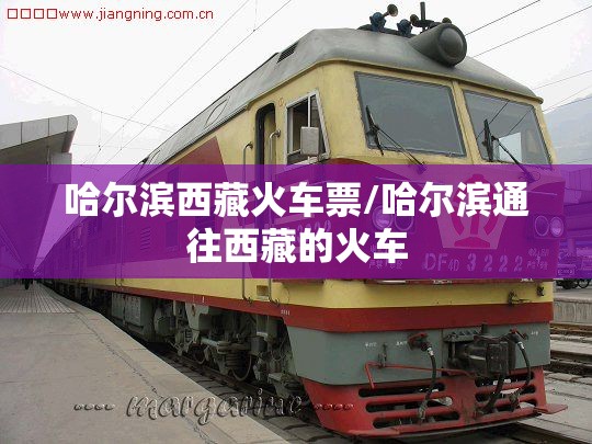 哈尔滨西藏火车票/哈尔滨通往西藏的火车