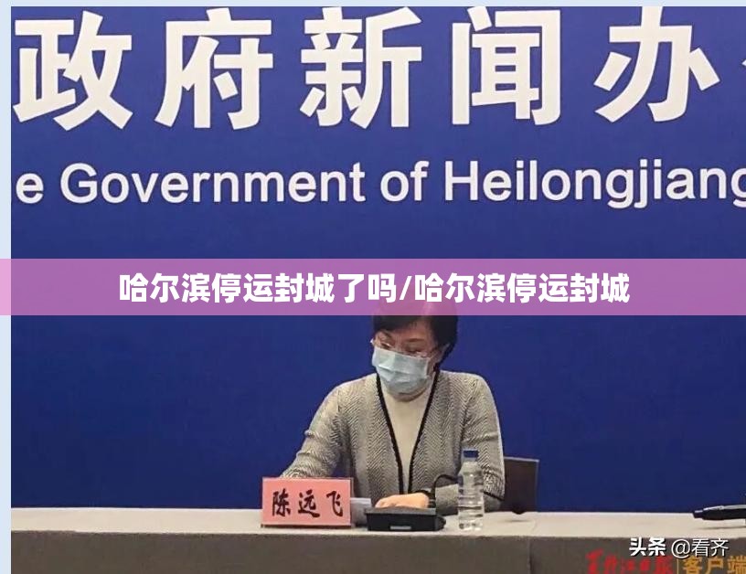 哈尔滨停运封城了吗/哈尔滨停运封城