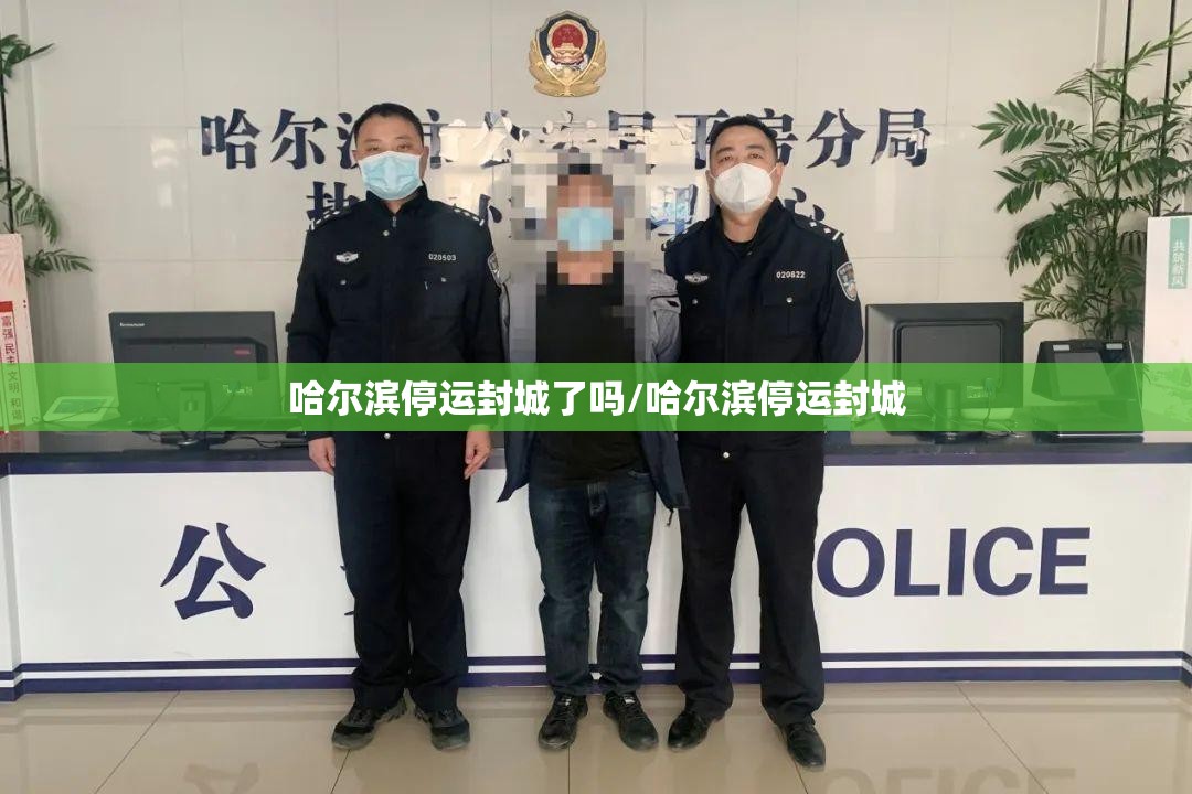 哈尔滨停运封城了吗/哈尔滨停运封城