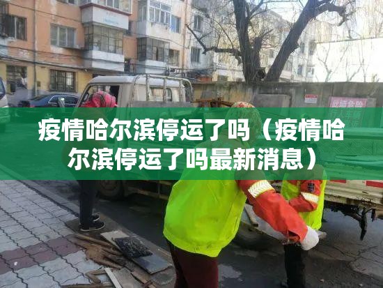 疫情哈尔滨停运了吗（疫情哈尔滨停运了吗最新消息）