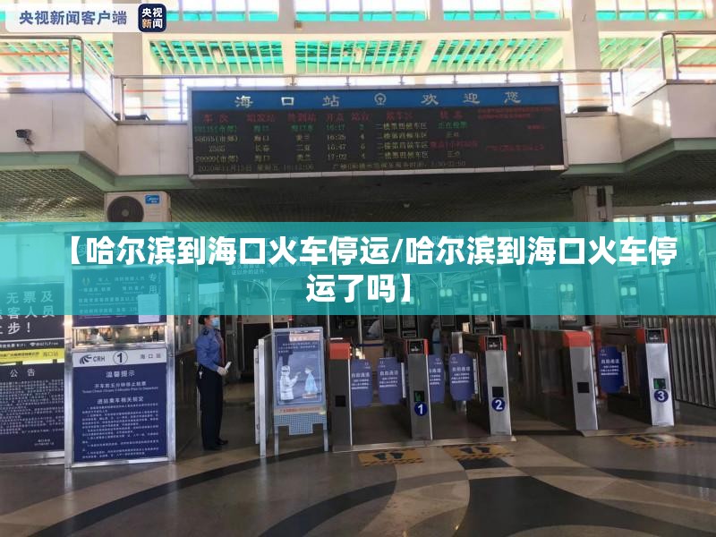 【哈尔滨到海口火车停运/哈尔滨到海口火车停运了吗】
