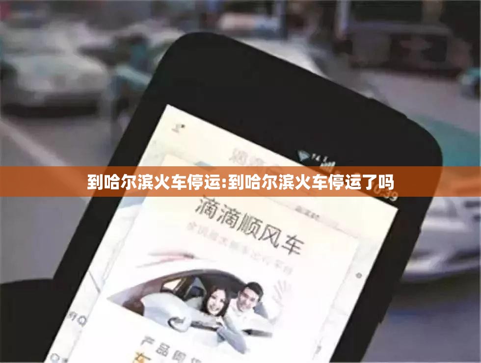 到哈尔滨火车停运:到哈尔滨火车停运了吗