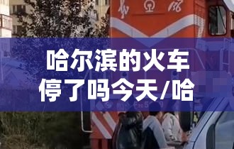 哈尔滨的火车停了吗今天/哈尔滨的火车停了吗