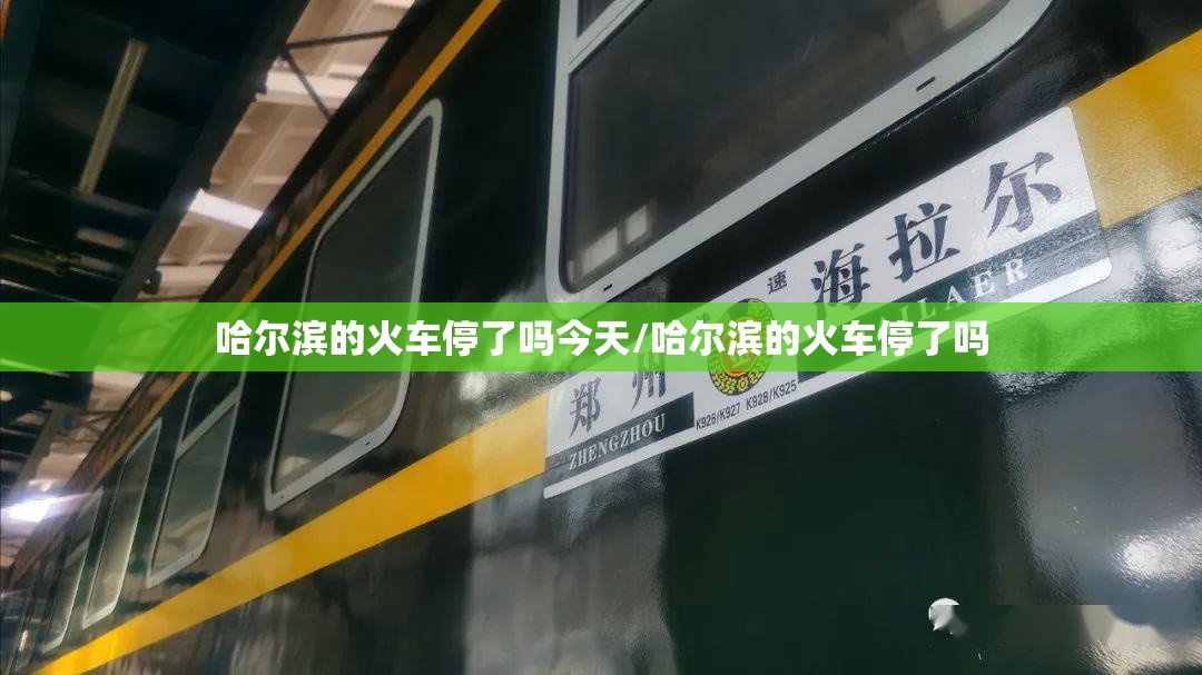 哈尔滨的火车停了吗今天/哈尔滨的火车停了吗