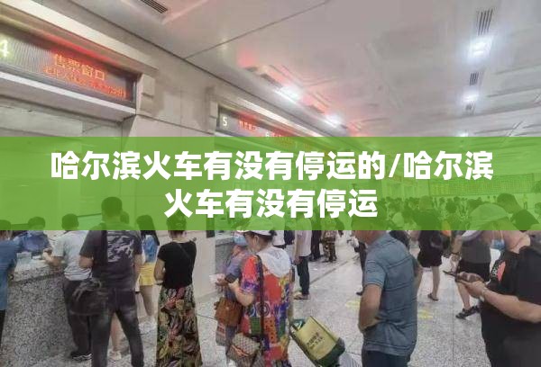 哈尔滨火车有没有停运的/哈尔滨火车有没有停运