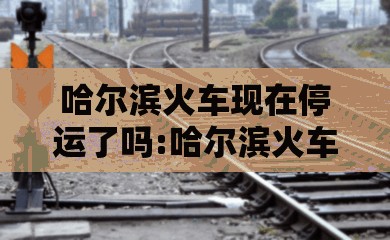 哈尔滨火车现在停运了吗:哈尔滨火车现在停运了吗最新消息