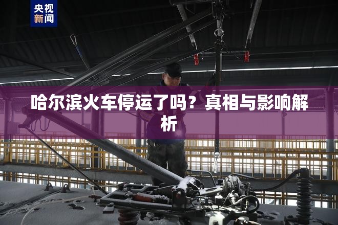 哈尔滨火车停运了吗？真相与影响解析
