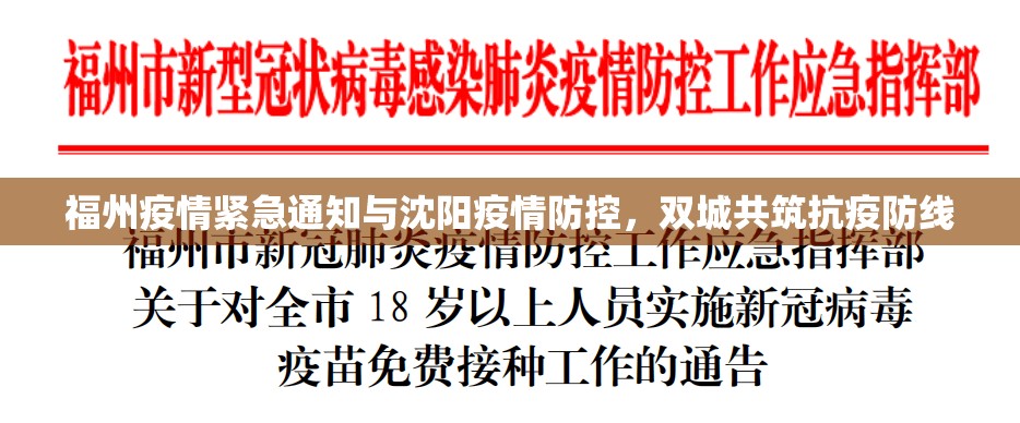 福州疫情紧急通知与沈阳疫情防控，双城共筑抗疫防线