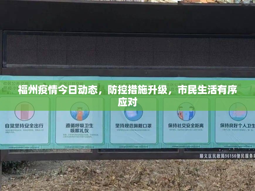 福州疫情今日动态，防控措施升级，市民生活有序应对