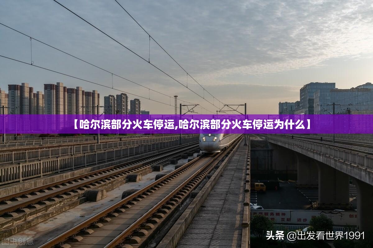 【哈尔滨部分火车停运,哈尔滨部分火车停运为什么】
