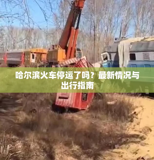 哈尔滨火车停运了吗？最新情况与出行指南