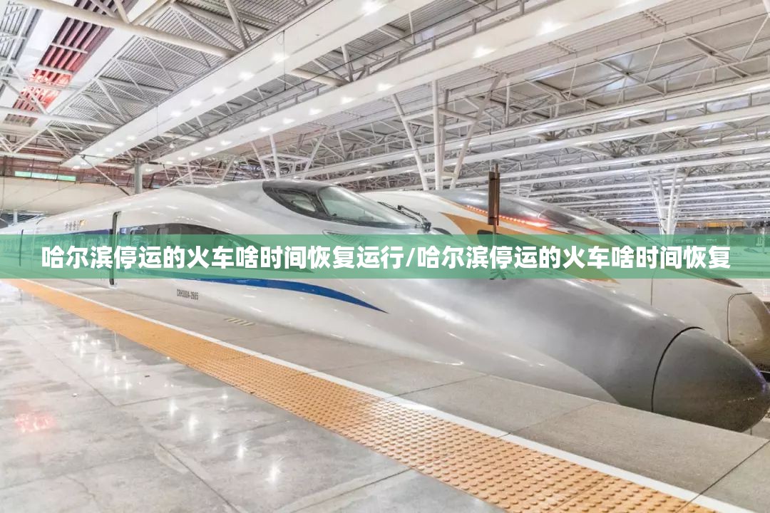 哈尔滨停运的火车啥时间恢复运行/哈尔滨停运的火车啥时间恢复
