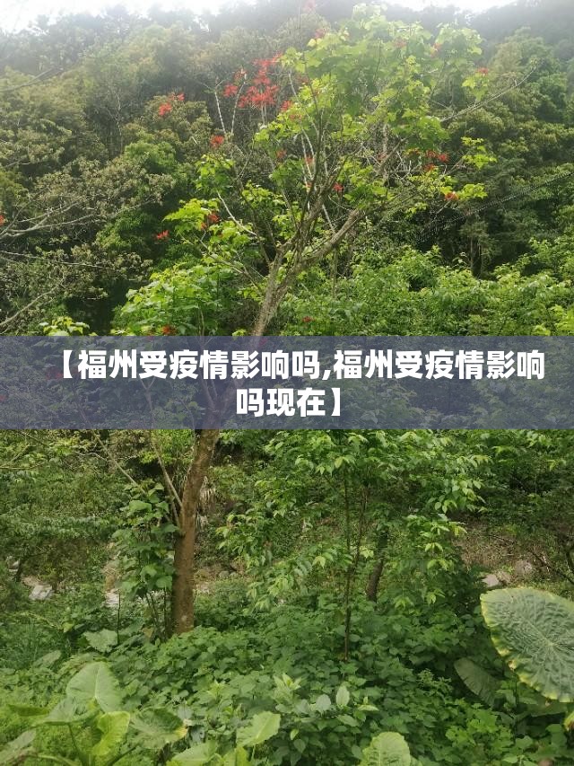 【福州受疫情影响吗,福州受疫情影响吗现在】