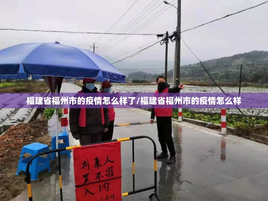福建省福州市的疫情怎么样了/福建省福州市的疫情怎么样