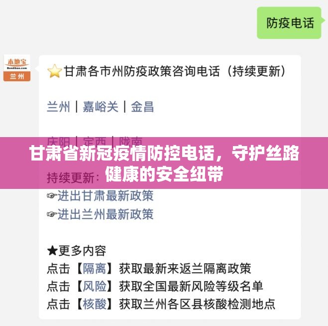 甘肃省新冠疫情防控电话，守护丝路健康的安全纽带