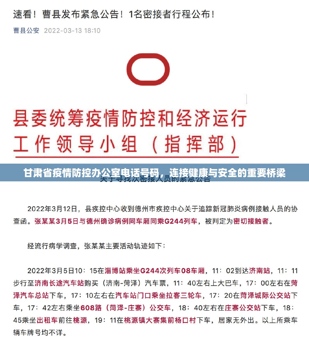 甘肃省疫情防控办公室电话号码，连接健康与安全的重要桥梁