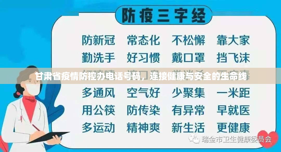 甘肃省疫情防控办电话号码，连接健康与安全的生命线