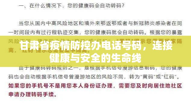 甘肃省疫情防控办电话号码，连接健康与安全的生命线