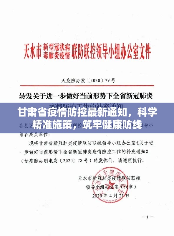 甘肃省疫情防控最新通知，科学精准施策，筑牢健康防线