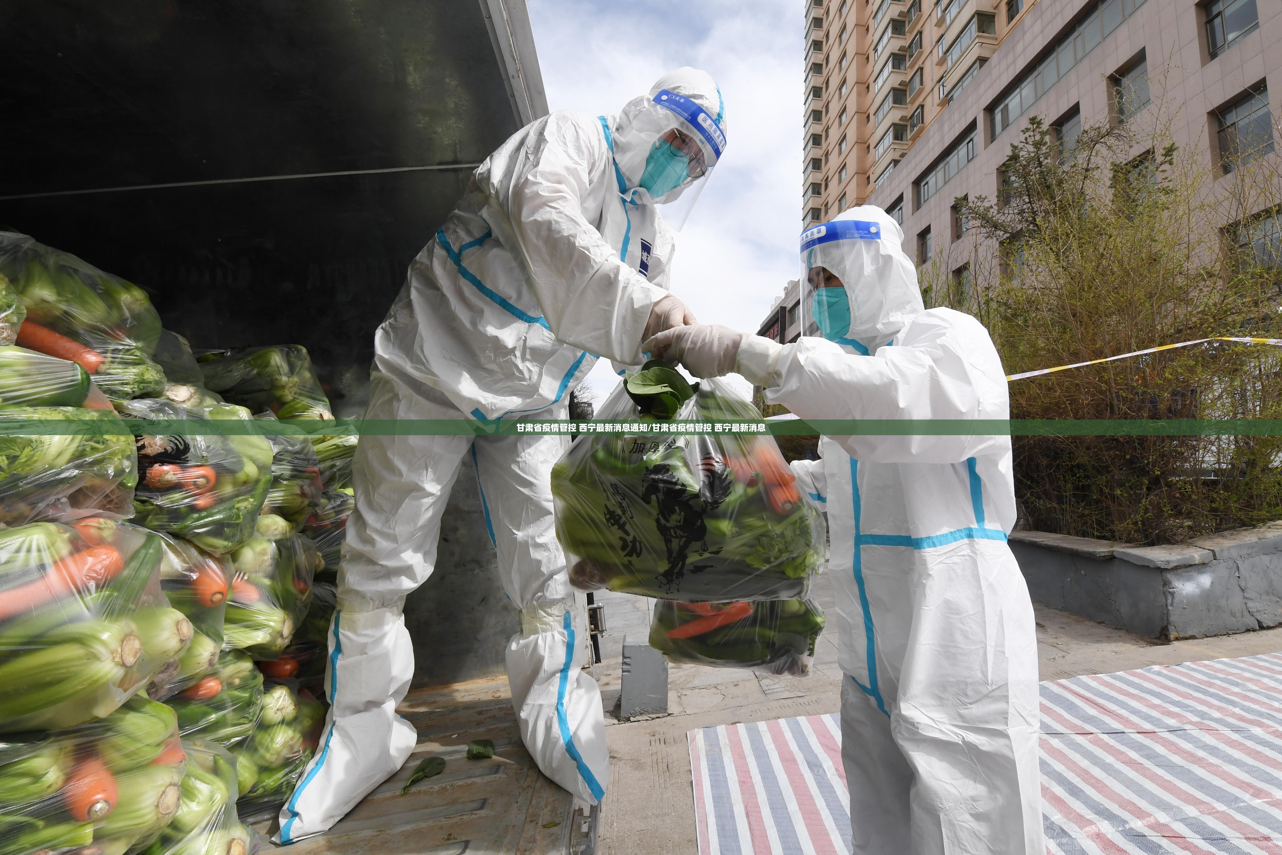 甘肃省疫情管控 西宁最新消息通知/甘肃省疫情管控 西宁最新消息