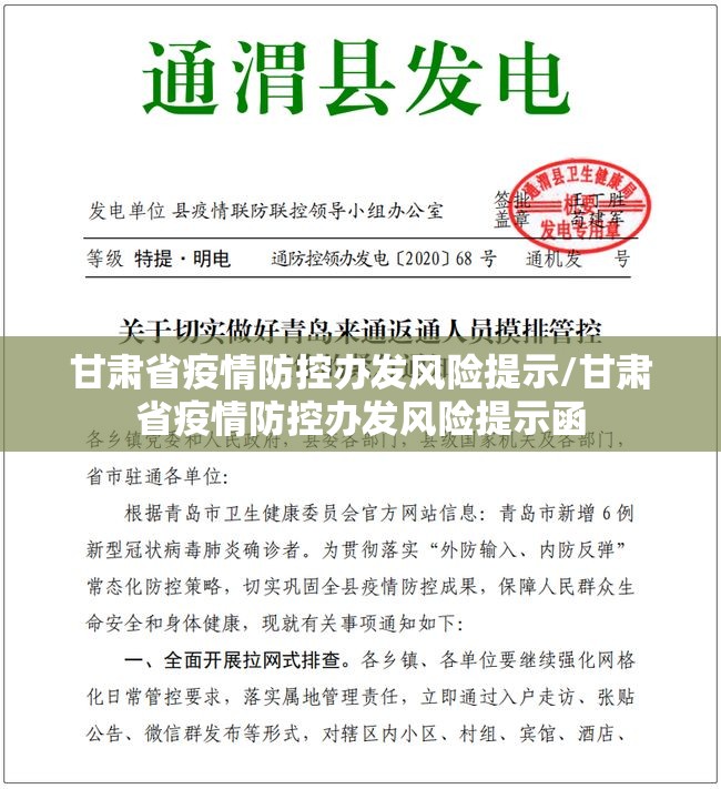 甘肃省疫情防控办发风险提示/甘肃省疫情防控办发风险提示函